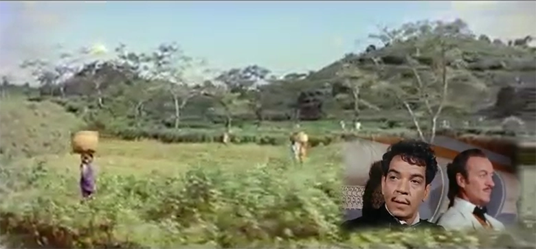 ট্রেনের ভেতর থেকে শ্রীমঙ্গলের প্রাকৃতিক সৌন্দর্য দেখছেন প্যাসপারতু