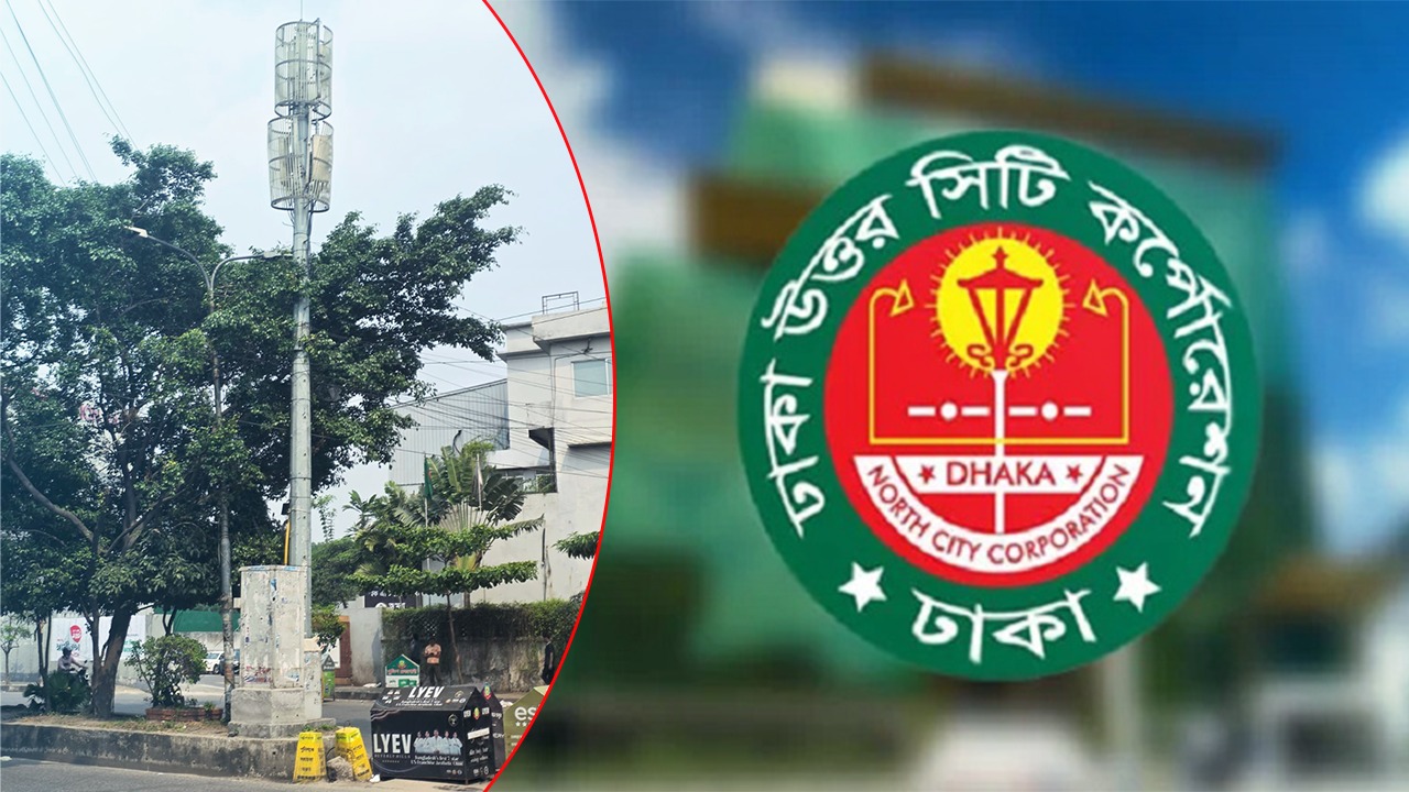 ৫ বছরে এক টাকাও ভাড়া দেয়নি ই ডটকো, সাড়ে ৭ কোটি টাকা গচ্চা ডিএনসিসির