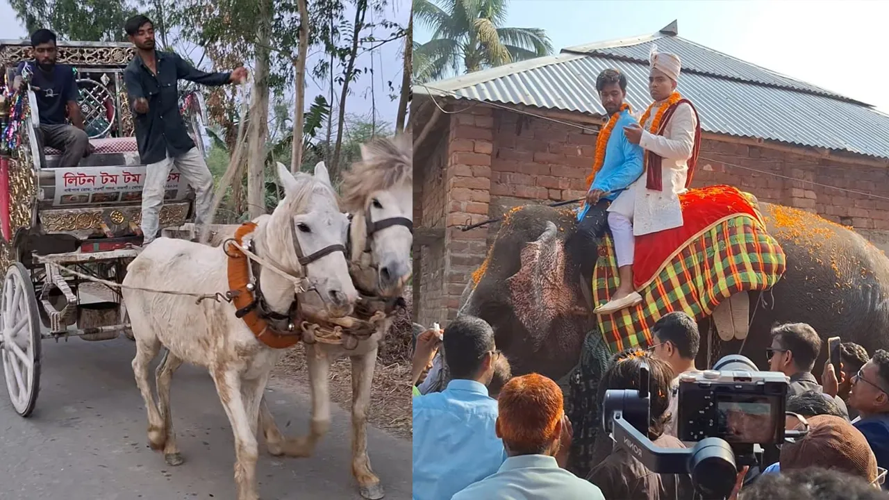 ঘোড়ার গাড়িতে কনেকে তুলছেন বর (বাঁয়ে), কনের বাড়ির দরজায় হাতির পিঠে বর। ছবি: এশিয়া পোস্ট