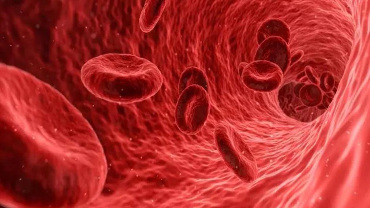 ছবি : সংগৃহীত