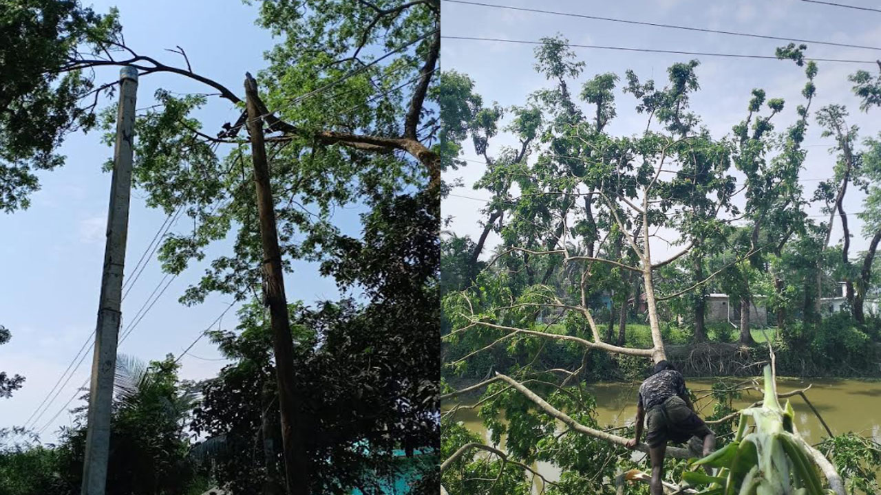 নোয়াখালীতে ১৬ ঘণ্টা বিদ্যুৎহীন ৮০ ভাগ গ্রাহক