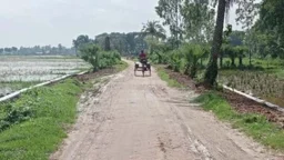নিম্নমানের ইটে সড়ক নির্মাণ, নোটিশের এক মাসেও হয়নি অপসারণ