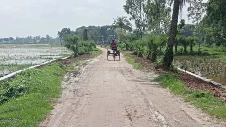 নিম্নমানের ইটে সড়ক নির্মাণ, নোটিশের এক মাসেও হয়নি অপসারণ