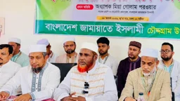 সব জায়গায় দলীয় লোকদের বসিয়ে রাখা হয়েছে: গোলাম পরওয়ার