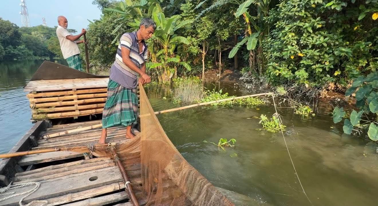 ভোঁদড় দিয়ে মাছ ধরার চেষ্টা। ছবি: এশিয়া পোস্ট
