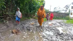সাড়ে তিন কিলোমিটার কাদা সড়ক, দুর্ভোগে ৮ গ্রামের মানুষ