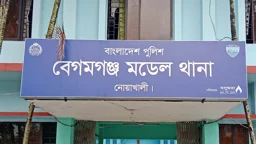 কান্নাকাটি ও ঘুমাতে না দেওয়ায় নবজাতককে হত্যা করল মা