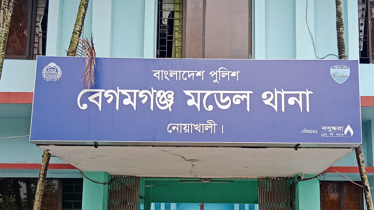 কান্নাকাটি ও ঘুমাতে না দেওয়ায় নবজাতককে হত্যা করল মা