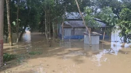 হবিগঞ্জে বাঁধ ভেঙে ১০ গ্রাম প্লাবিত