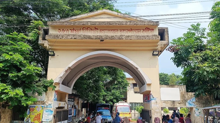 কুষ্টিয়ায় সাপের কামড় খেয়ে ১৩ জন হাসপাতালে
