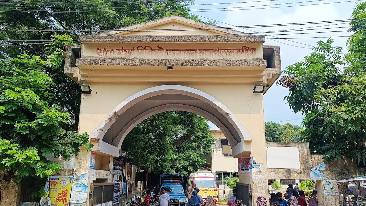 কুষ্টিয়ায় সাপের কামড় খেয়ে ১৩ জন হাসপাতালে