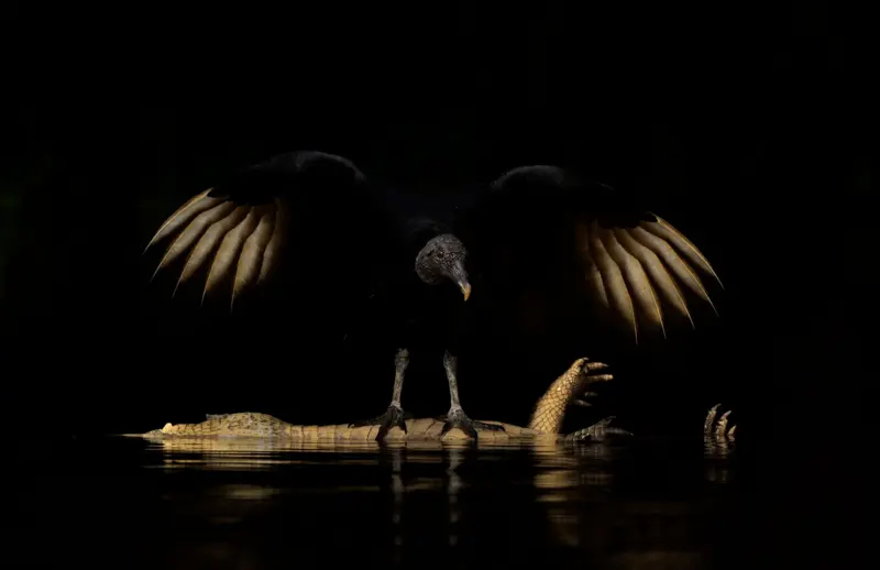 ছবি: বিবিসি বাংলা
