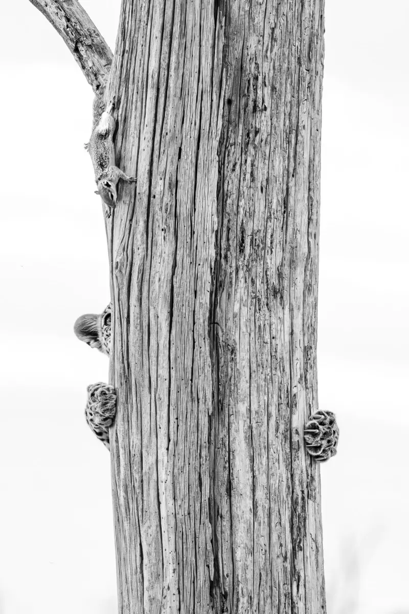 ছবি: বিবিসি বাংলা