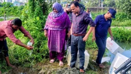 ফেনীতে জেলি পুশ করা ১০৫ কেজি চিংড়ি জব্দ, তিন আড়তকে জরিমানা