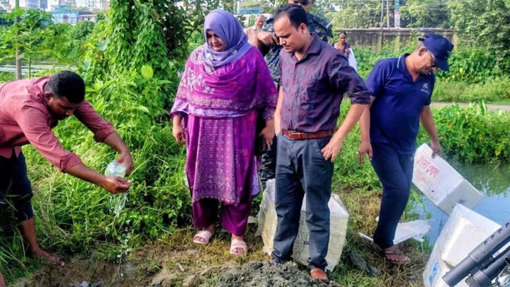 ফেনীতে জেলি পুশ করা ১০৫ কেজি চিংড়ি জব্দ, তিন আড়তকে জরিমানা
