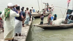 ভরা মৌসুমেও ইলিশের আকাল
