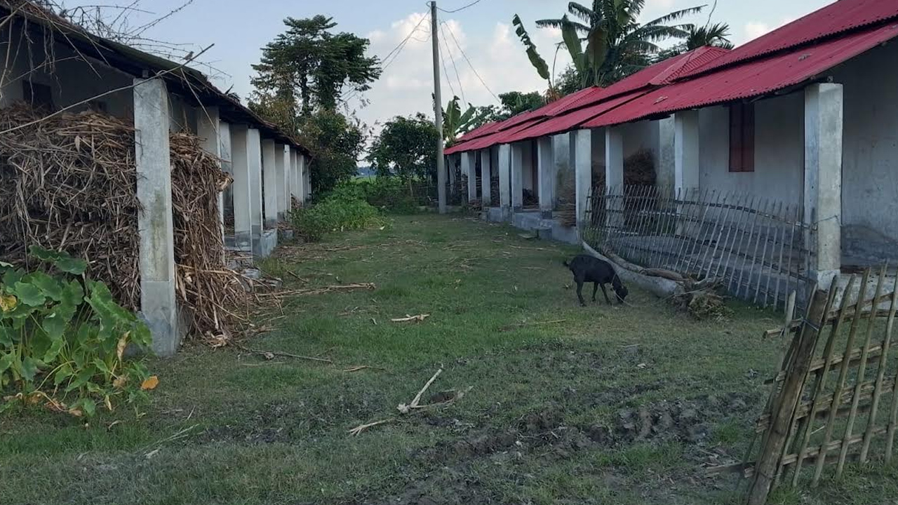 ছবি: এশিয়া পোস্ট