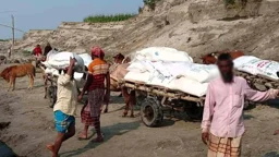 সরকারি বরাদ্দের সার খোলা বাজারে