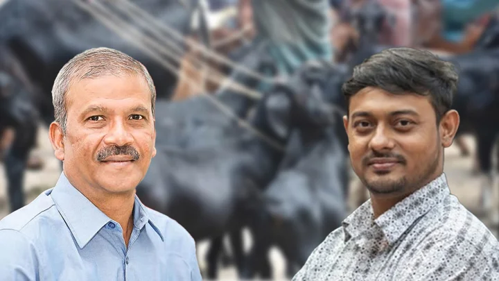 আসিফ নজরুলের ছাগল দুইটাই খাওয়া উচিত ছিল: পাটওয়ারী