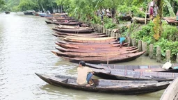 পিরোজপুরে জমে উঠেছে শত বছরের ভাসমান নৌকার হাট