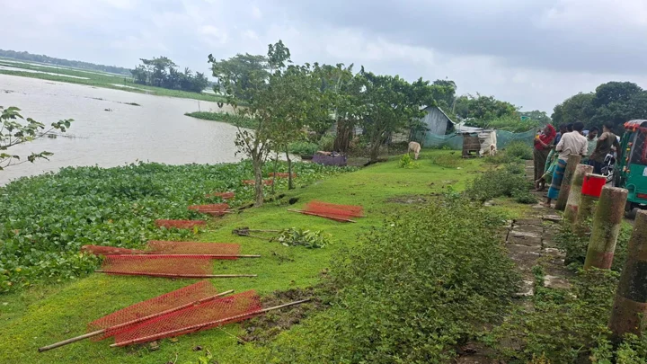 ডেপুটি স্পিকারের লাগানো ৩৫টি গাছের চারা উপড়ে ফেলল দুর্বৃত্তরা
