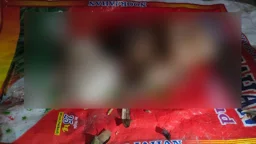 ময়লার স্তূপে পাশাপাশি পড়ে ছিল দুই নবজাতকের মরদেহ