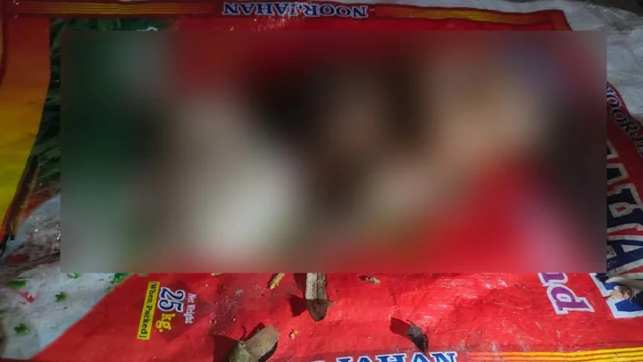 ময়লার স্তূপে পাশাপাশি পড়ে ছিল দুই নবজাতকের মরদেহ