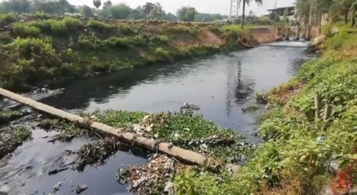 কারখানার বিষাক্ত কালচে বর্জ্যে ভরাট হয়ে যাচ্ছে ভালুকার জলাশয়, ধ্বংসের মুখে স্থানীয় পরিবেশ ও জীববৈচিত্র্য। ছবি : এশিয়া পোস্ট