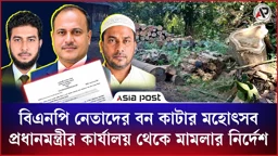 বিএনপি নেতাদের বন কাটার মহোৎসব, প্রধানমন্ত্রীর কার্যালয় থেকে মামলার নির্দেশ