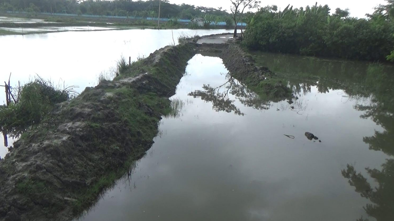 ছবি: এশিয়া পোস্ট