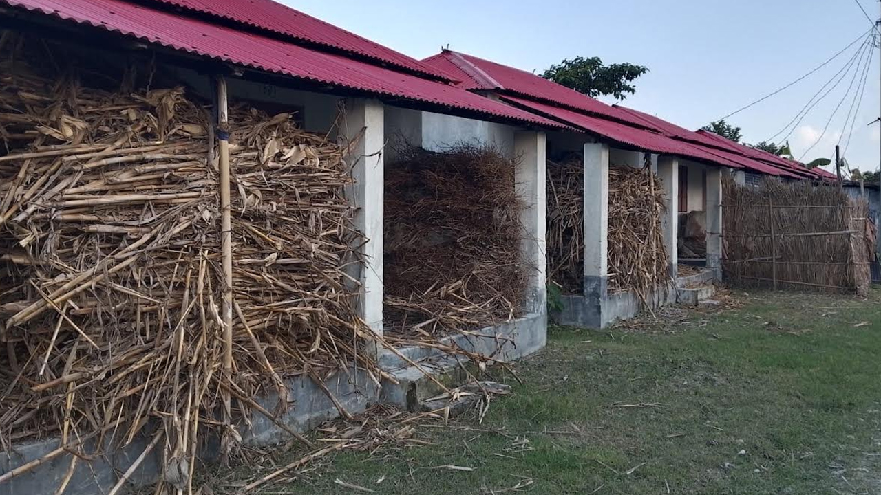 ছবি: এশিয়া পোস্ট