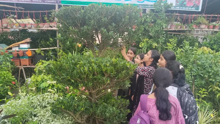 ভোলার বৃক্ষমেলায় ২৫ বছরের বনসাই দেখতে ভিড়