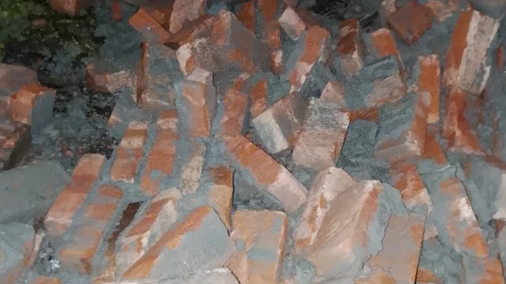 মা ও দুই বোনের জমির সীমানাপ্রাচীর ভাঙলেন ভাই