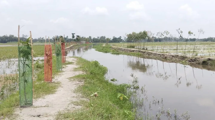 নির্ধারিত সময়ে শেষ হয়নি কাজ, কোটি টাকা ফেরত দিলেন ইউএনও