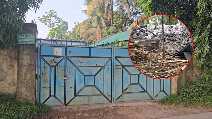 ১০ বার অভিযানের পরও থামেনি মুফতির সিসা তৈরি