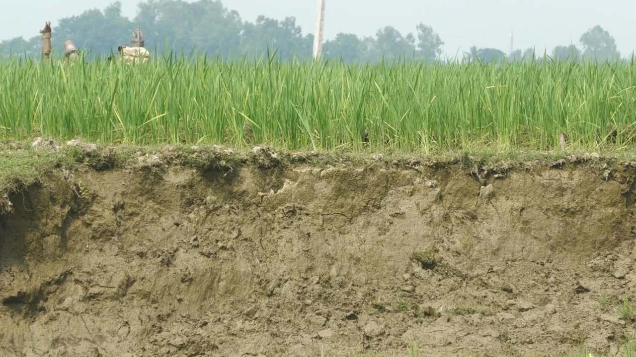 ছবি: এশিয়া পোস্ট