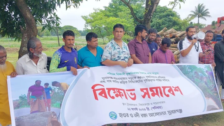 ৪৫০০ গাছ কাটার প্রতিবাদে সুনামগঞ্জে বিক্ষোভ