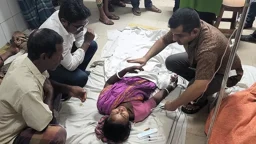 ঘুমিয়ে থাকা নারীকে সাপের ছোবল, সাপ সঙ্গে নিয়ে হাজির হাসপাতালে