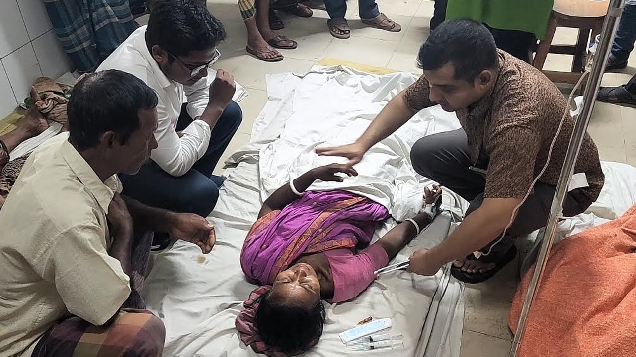 ঘুমিয়ে থাকা নারীকে সাপের ছোবল, সাপ সঙ্গে নিয়ে হাজির হাসপাতালে
