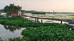 ২০ মিটার নদীতে হচ্ছে ১১৪ মিটার সেতু, নেই সংযোগ সড়ক