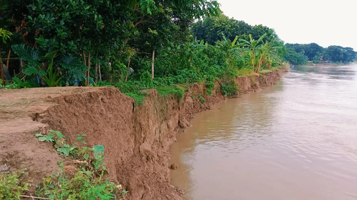 মাগুরায় ভাঙনে নিঃস্ব শত শত পরিবার