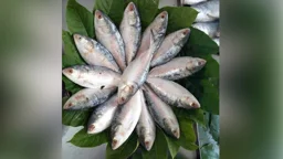 দুর্গাপূজায় এবারও বাংলাদেশের ইলিশ চায় ভারত