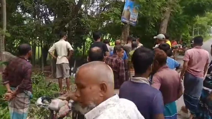 সরকারি গাছ বিক্রি করে দিলেন বিএনপি নেতা