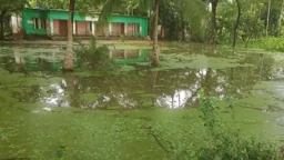 বর্ষা এলেই তলিয়ে যায় স্কুল মাঠ