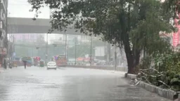 আট বিভাগে বৃষ্টিপাতের আভাস, কোথাও হতে পারে ভারী বর্ষণ