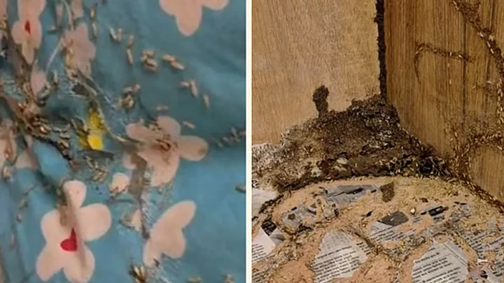 উইপোকায় ভরা বরাদ্দের কক্ষ, মধ্যরাতে সার্কিট হাউস ছাড়লেন বিরোধীদলীয় উপনেতা