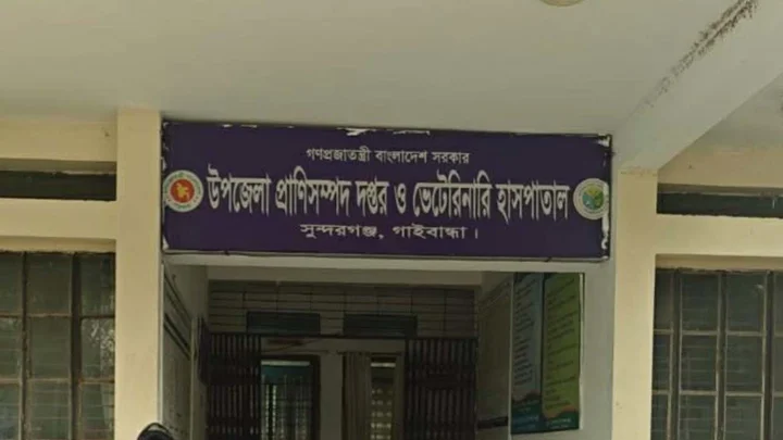 গাইবান্ধায় ফের অ্যানথ্রাক্সের প্রকোপ, ৫ জনের শরীরে সংক্রমণের লক্ষণ
