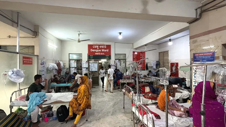 জলবায়ু পরিবর্তন ও মশা নিয়ন্ত্রণে ব্যর্থতায় বছরজুড়ে থাকতে পারে ডেঙ্গুর ঝুঁকি