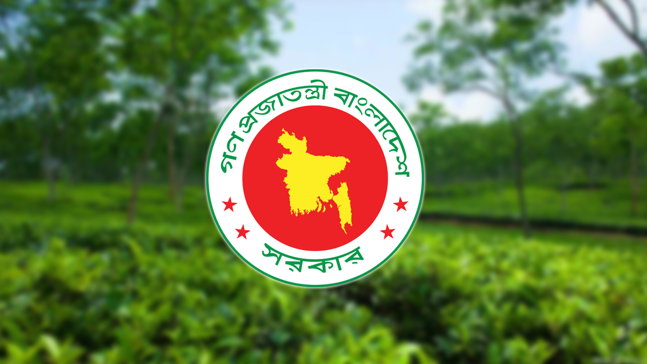 চা শিল্পের উন্নয়নে ১২ সদস্যের পর্যবেক্ষণ ও পরামর্শক কমিটি