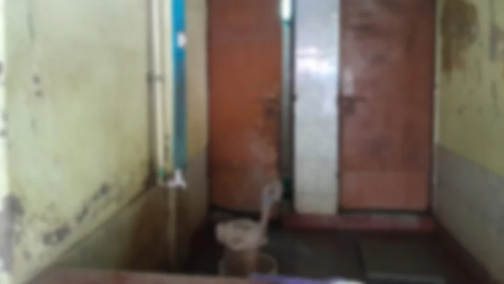 প্রাথমিক বিদ্যালয়ে নেই পরিচ্ছন্নতাকর্মী, শৌচাগার পরিষ্কার করেন শিক্ষকরা 